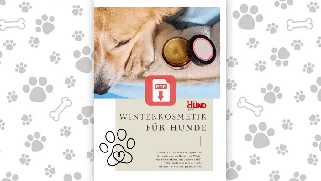 Winterkosmetik_Download