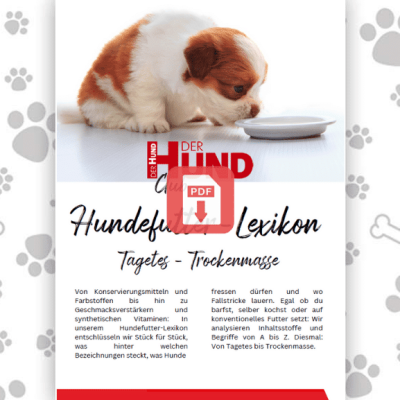 Futtermittellexikon T_Download