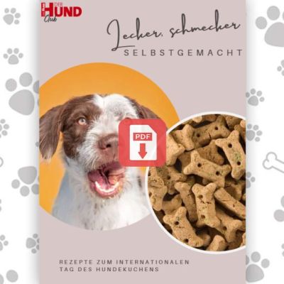 Rezepte Hundekekse_Download