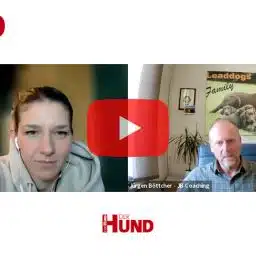 Das Bild zeigt einen Screenshot eines Online-Videomeetings mit zwei Personen, jeweils in getrennten Videofenstern. Die linke Person sitzt in einem Raum mit warmem Licht, die rechte Person in einem Büro mit einem Poster von Hunden und einem Flipchart im Hintergrund. In der Mitte befindet sich ein großes rotes Play-Symbol, das auf ein Video hinweist. Oben links und unten in der Mitte ist das Logo „DER HUND Club“ zu sehen. Die Namen „Veronika Rothe“ und „Jürgen Böttcher – JB Coaching“ sind unter den jeweiligen Videofenstern eingeblendet.