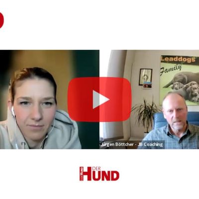 Das Bild zeigt einen Screenshot eines Online-Videomeetings mit zwei Personen, jeweils in getrennten Videofenstern. Die linke Person sitzt in einem Raum mit warmem Licht, die rechte Person in einem Büro mit einem Poster von Hunden und einem Flipchart im Hintergrund. In der Mitte befindet sich ein großes rotes Play-Symbol, das auf ein Video hinweist. Oben links und unten in der Mitte ist das Logo „DER HUND Club“ zu sehen. Die Namen „Veronika Rothe“ und „Jürgen Böttcher – JB Coaching“ sind unter den jeweiligen Videofenstern eingeblendet.