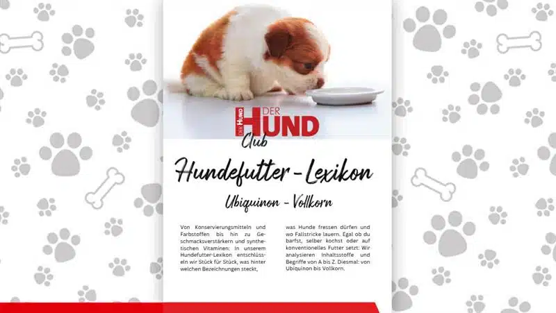 Futtermittellexikon-UV_Download