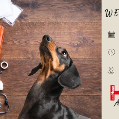 Header-Webtalk-Erste-Hilfe-Club_800x450