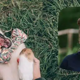 Playful dog on grass chewing a colorful rope toy, with an inset portrait of a smiling woman wearing glasses.
