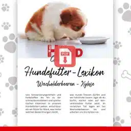 Puppy sniffing a plate on a dog‑food encyclopedia cover with a paw‑print background and a red PDF icon overlay.