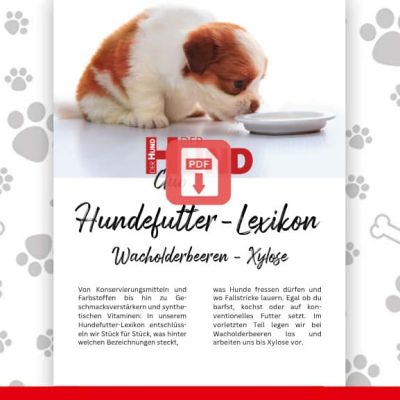 Puppy sniffing a plate on a dog‑food encyclopedia cover with a paw‑print background and a red PDF icon overlay.