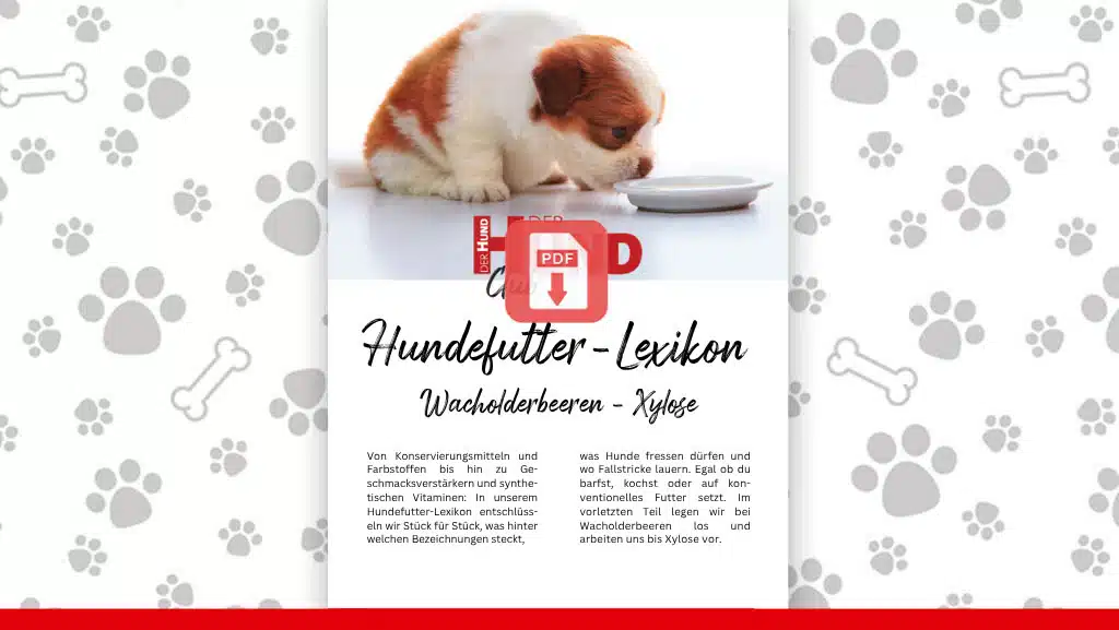 Futtermittellexikon-WX_Download