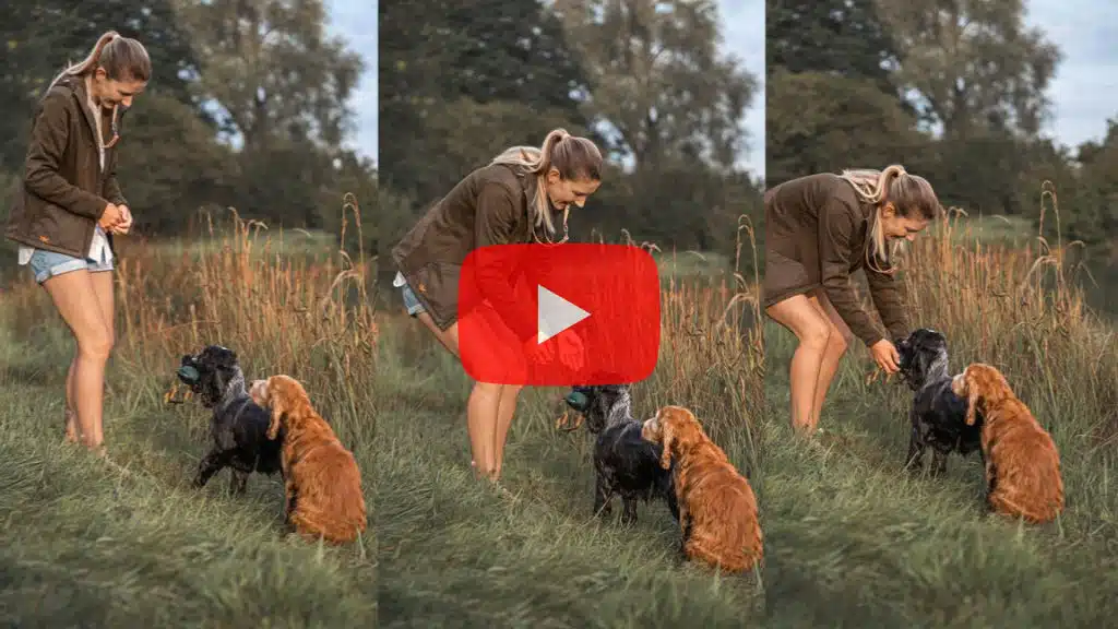 Video thumbnail: a woman with two dogs in a grassy field, bending to pet them; a red play button overlays the center.