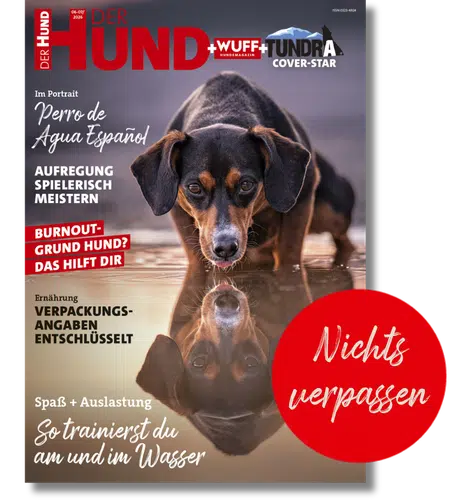 Magazine cover for 'Der Hund' featuring a dog near water with bold German headlines and a red 'Nichts verpassen' badge, set against a dark gradient background.