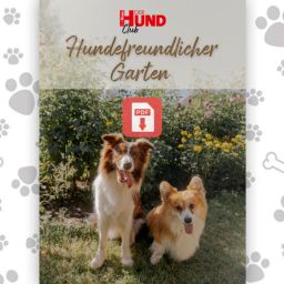 Cover image for 'Hundefreundlicher Garten' showing two dogs in a garden with a red PDF icon and paw-print patterned border.
