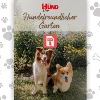 Cover image for 'Hundefreundlicher Garten' showing two dogs in a garden with a red PDF icon and paw-print patterned border.