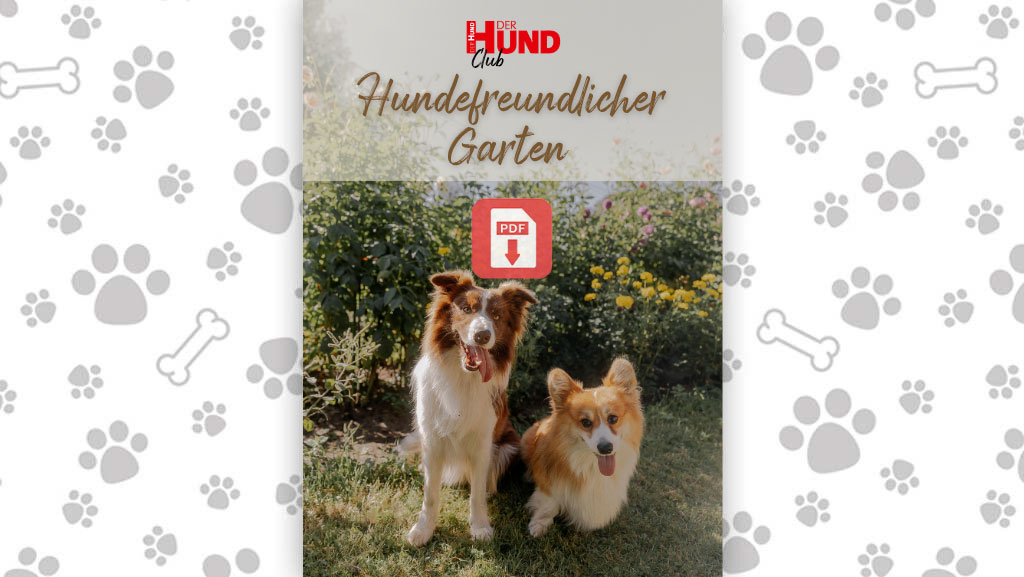Download-Beitragsbild_Hundefreundlicher-Garten Cover image for 'Hundefreundlicher Garten' showing two dogs in a garden with a red PDF icon and paw-print patterned border.