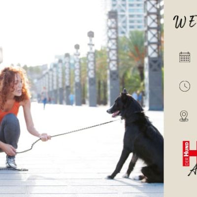 Couple with a dog on a leash enjoying a sunny boardwalk; beige event panel on the right shows WEBTALK, 28.09.26, 19 Uhr, Online, and Der Hund Akademie logo.