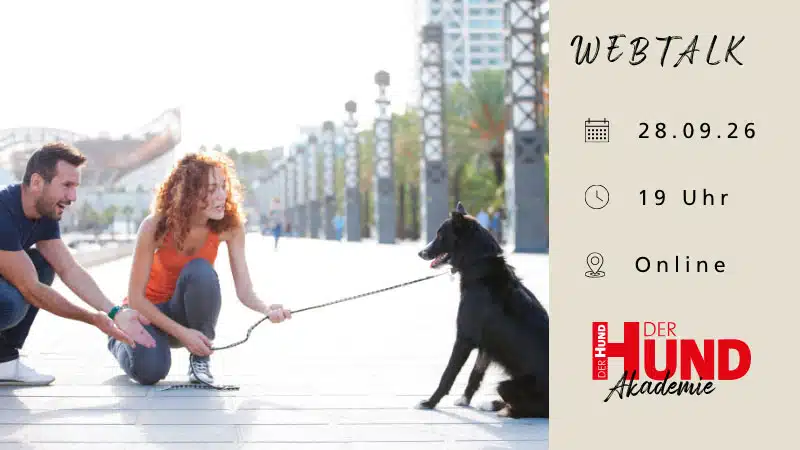 Header-Webtalk-Piturru_800x450 Couple with a dog on a leash enjoying a sunny boardwalk; beige event panel on the right shows WEBTALK, 28.09.26, 19 Uhr, Online, and Der Hund Akademie logo.