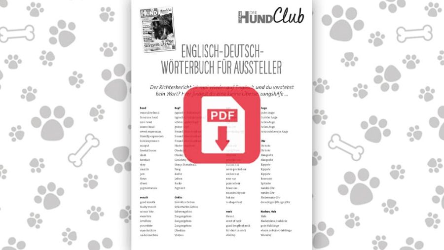 Download: Wörterbuch