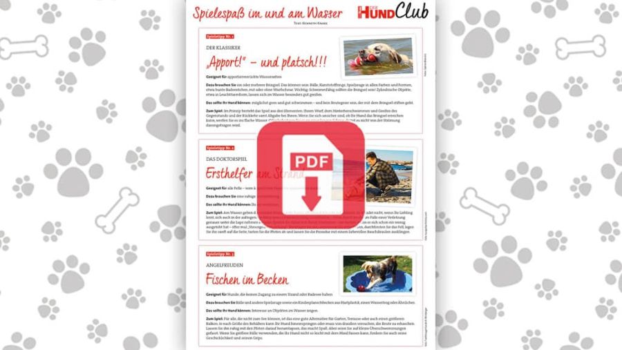 Download: 9 tolle Wasserspiele