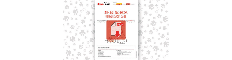 Download: 8 Rezepte für Hundekekse