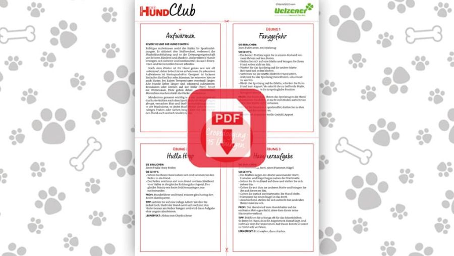 Download: Crossdogging: 15 Übungen