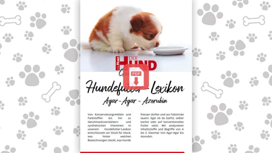 Download: Futtermittellexikon A