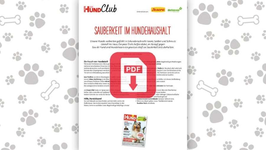 Download: Sauberkeit im Hundehaushalt