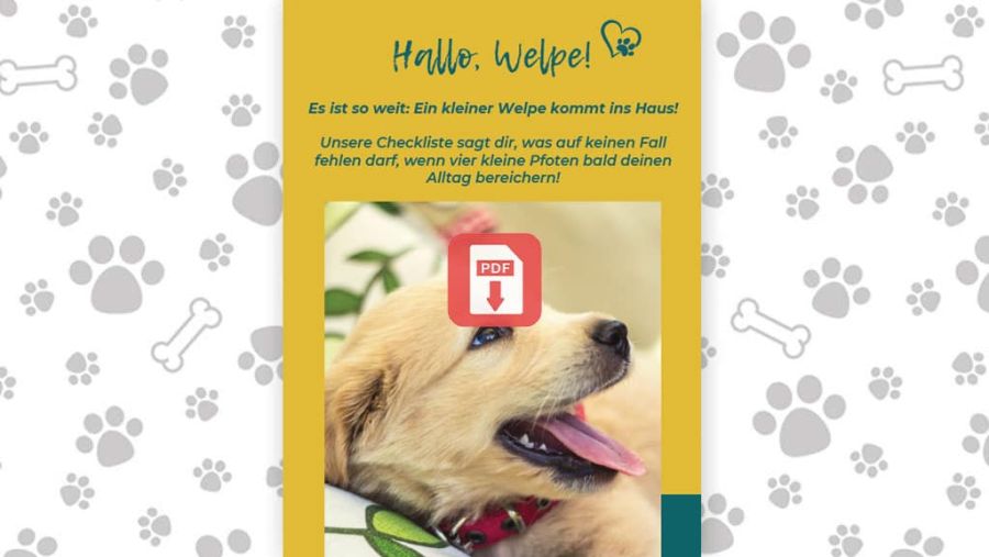 Download: Erstausstattung Welpe