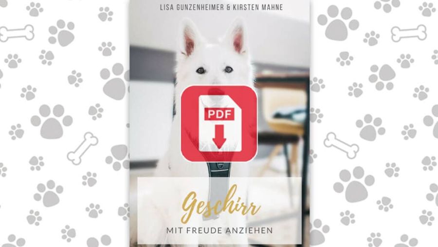 Download: Das Geschirr mit Freude anziehen