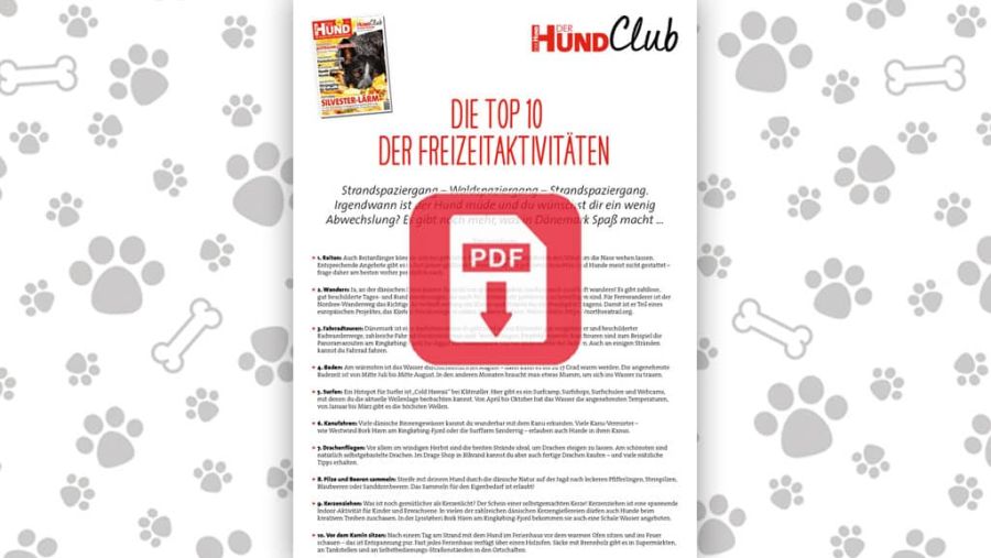 Download: Top 10 Freizeitaktivitäten in Dänemark