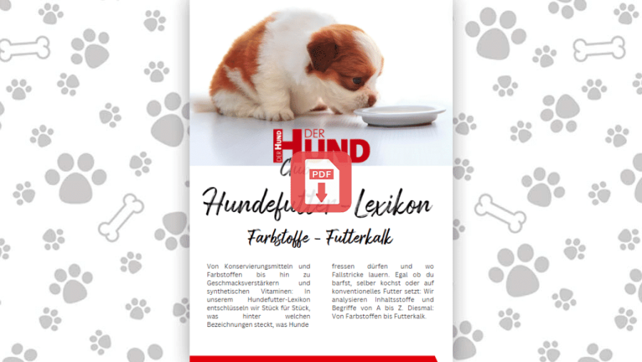 Download: Futtermittellexikon F