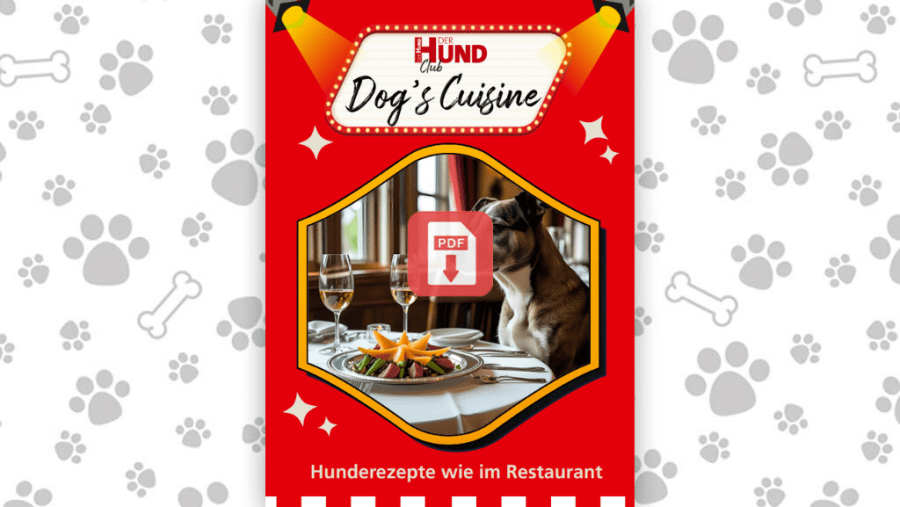 Download: Dog's Cuisine