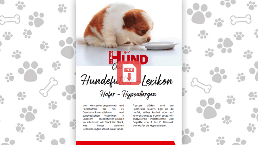 Download: Futtermittellexikon H
