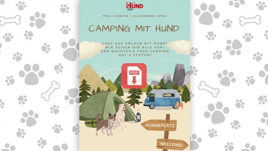 Camping mit Hund - gratis