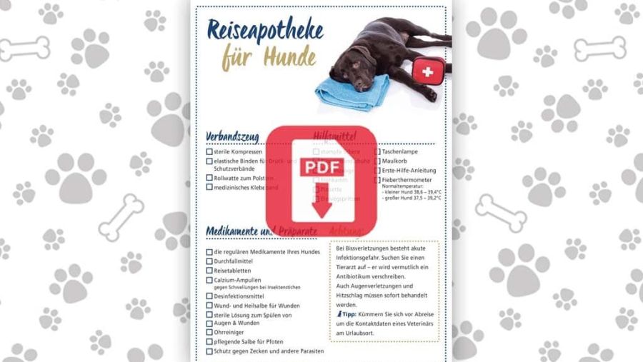 Download: Das sollte in jede Reiseapotheke!