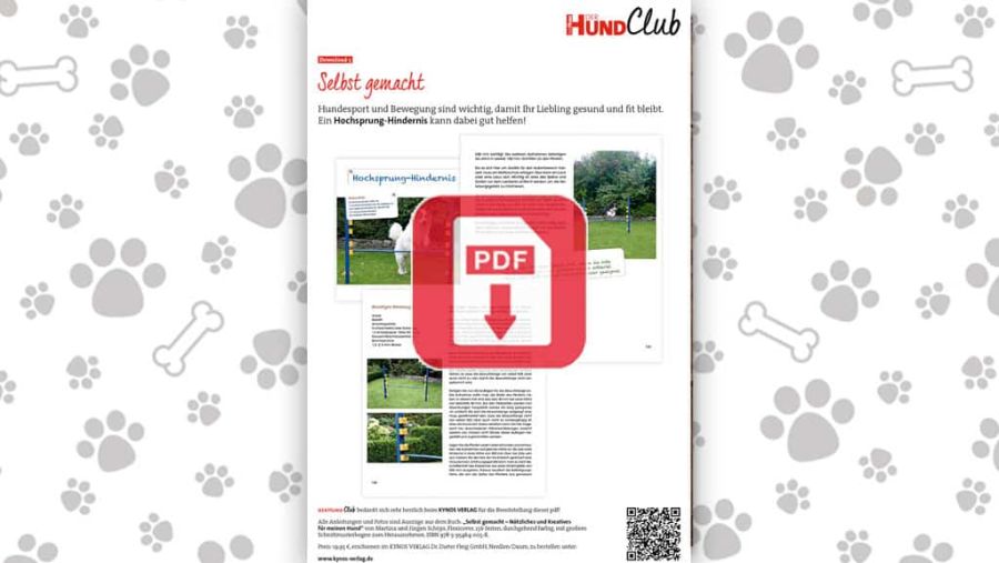 Download: Fit bleiben mit einem selbst gebauten Hochsprung-Hindernis