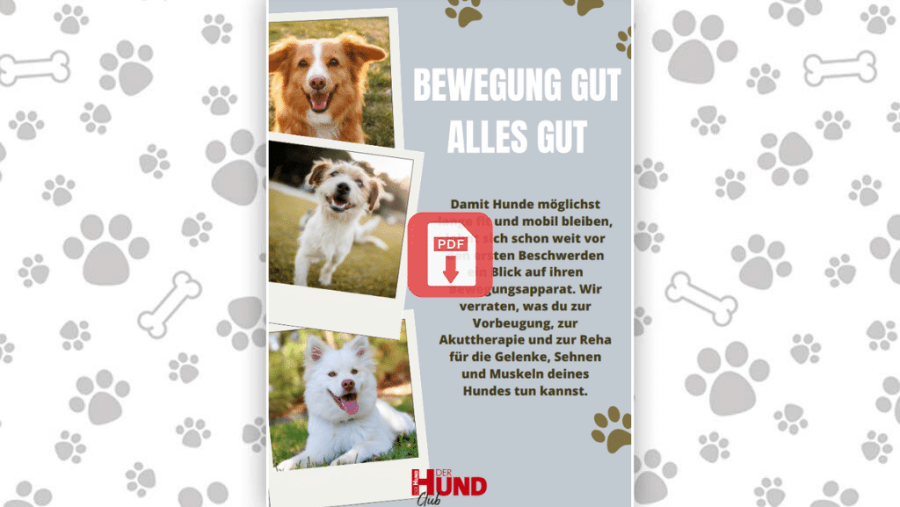 Download: Bewegung gut, alles gut
