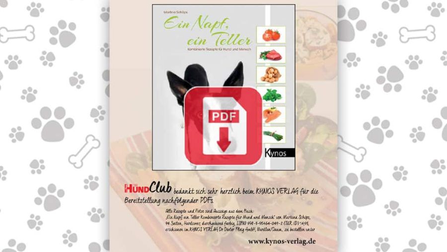 Download: Ein Napf ein Teller
