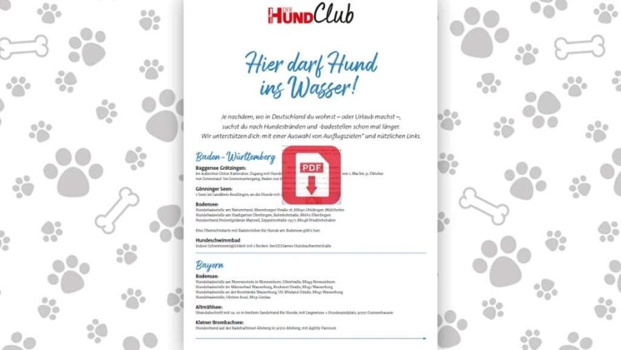 Download: Hier darf Hund ins Wasser
