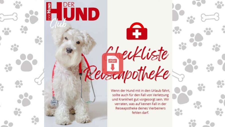 Download: Reiseapotheke Hund