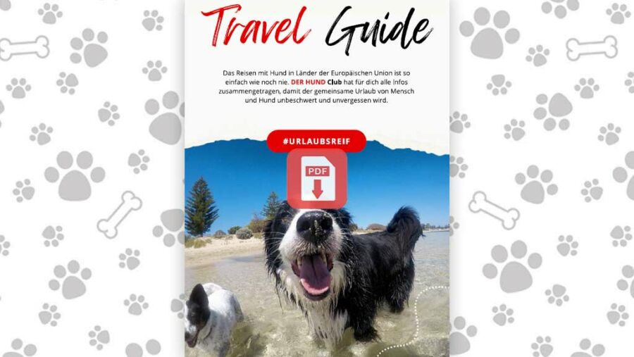 Download: Travel Guide EU