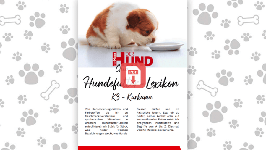 Download: Futtermittellexikon K