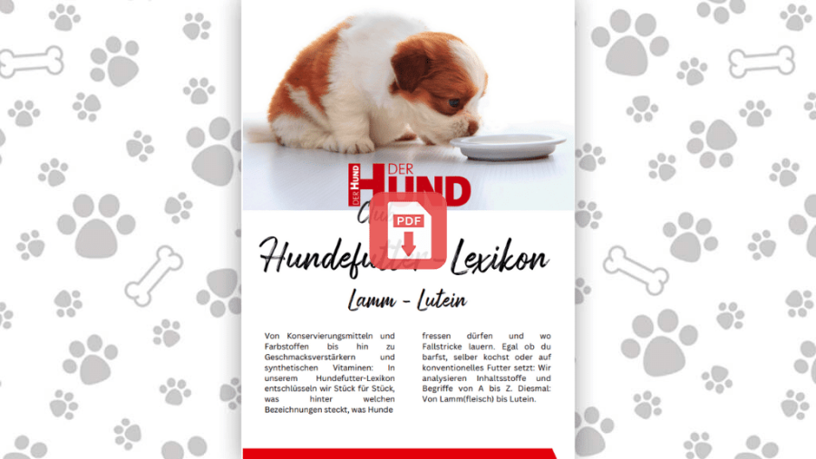 Download: Futtermittellexikon L