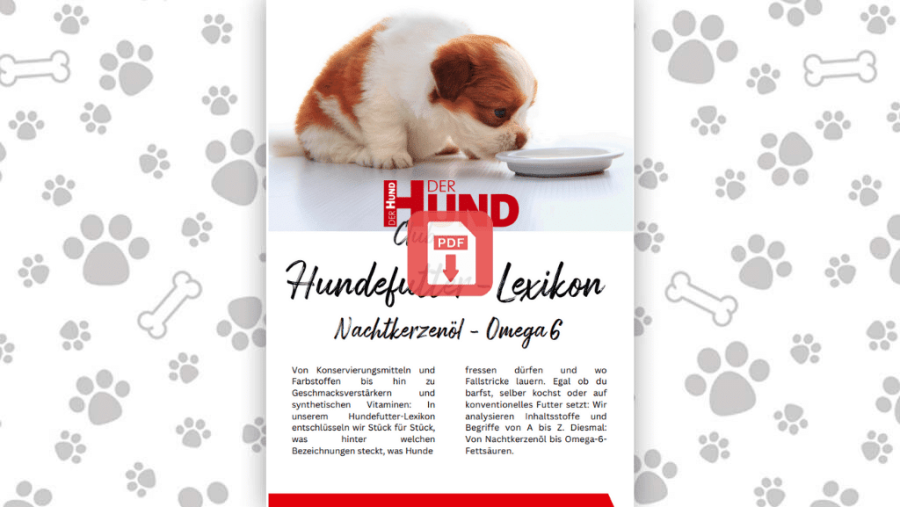 Download: Futtermittellexikon N &O