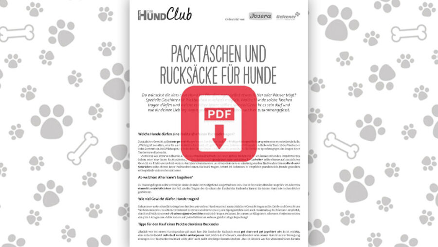 Download: Packtaschen und Rucksäcke für Hunde