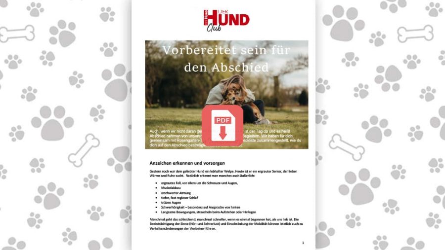 Download: Abschied nehmen