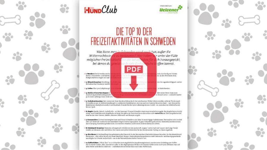 Download: Top 10 Freizeitaktivitäten in Schweden