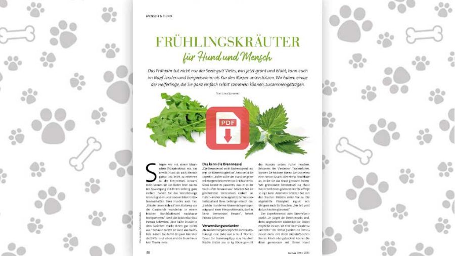 Download: Frühlingskräuter