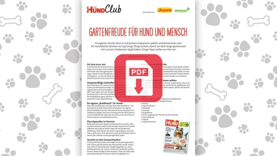 Download: Gartenfreude für Hund und Mensch