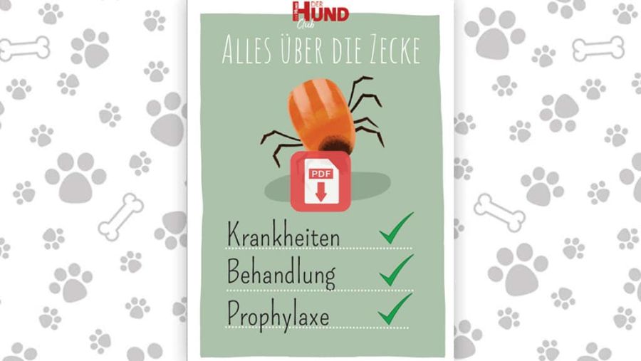 Download: Alles über die Zecke
