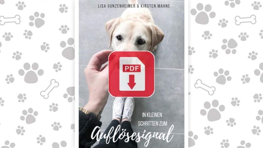 Download: Mini eBook zum Auflösesignal