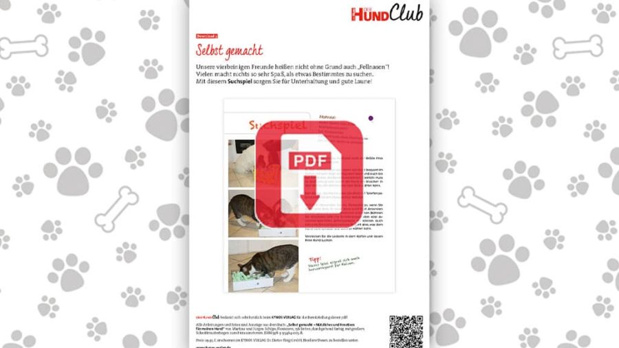 Download: Sorgt für Unterhaltung: Das Suchspiel