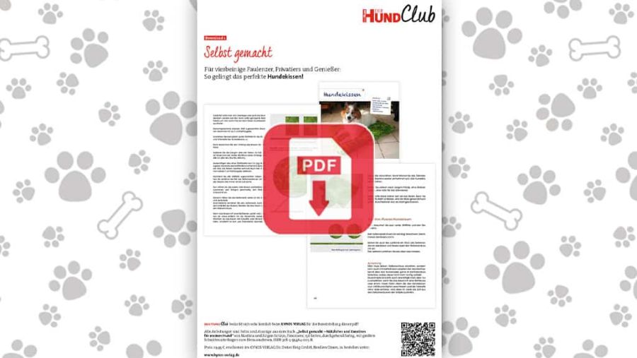 Download: Für Genießer: Hundekissen selber machen